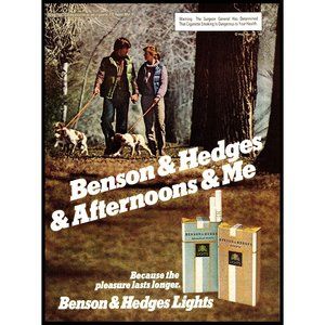 1981 Benson & Hedges Cigarettes Vintage Print Ad Forest Nature Dog Walk Wall Art